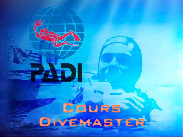 Living Koh Tao Stage de Divemaster Offre d Emploi Petites Annonces