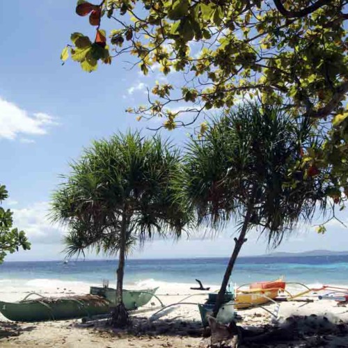 Beautiful Pamilacan island Philippines by Equation