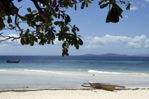 Diving trip to Pamilacan island by Equation