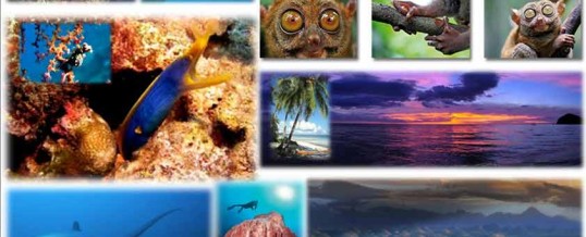 Informations pratiques Bohol et aux Philippines