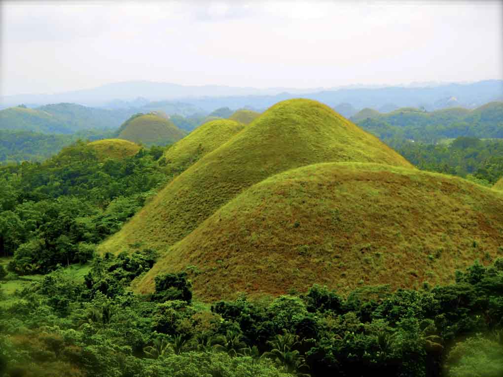 Chocolate Hills vue du top Bohol Philippines